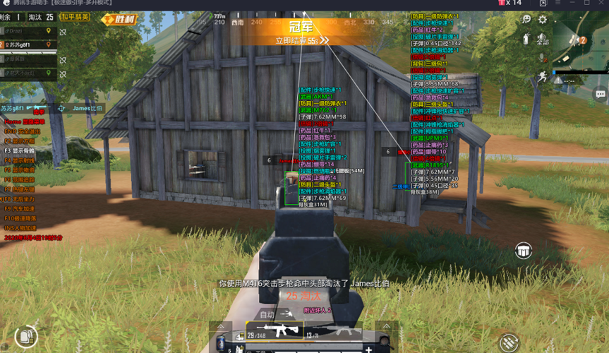 和平精英「路易威登」外挂